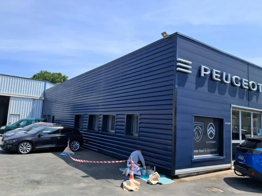 peinture peugeot