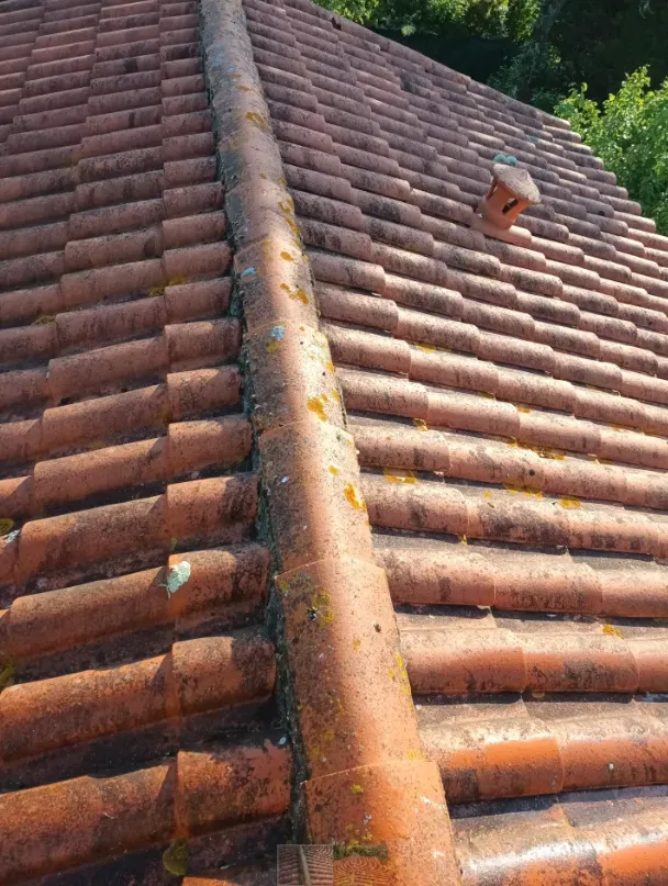 Nettoyage toiture à Saint-Georges-d'Oléron